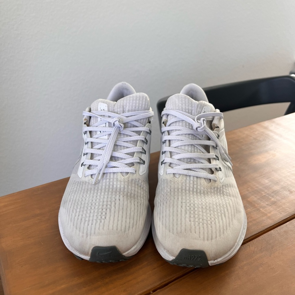 Nike Pegasus 39